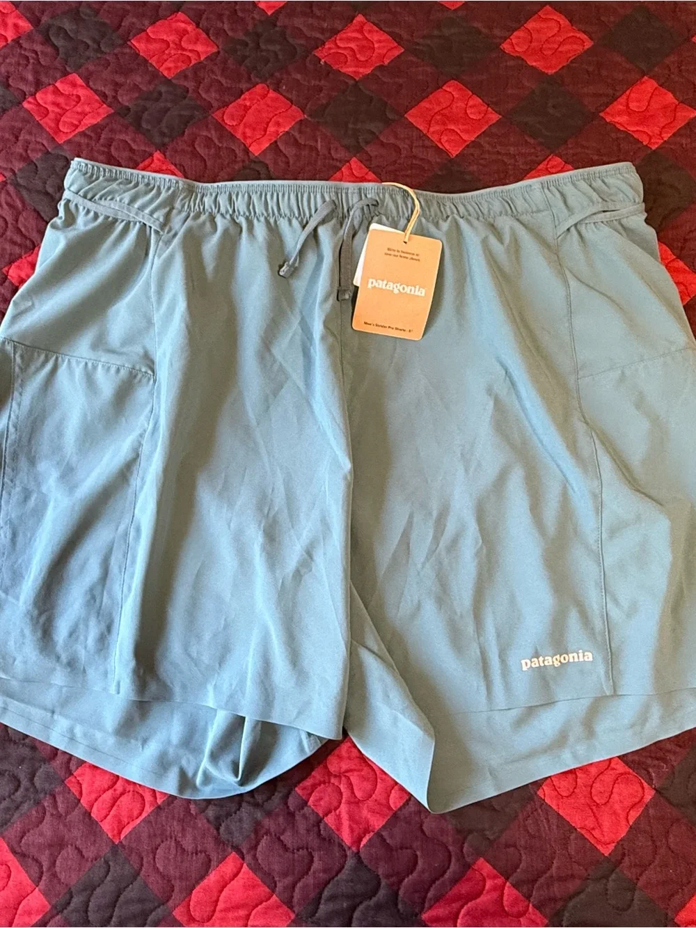 Patagonia Men's Strider Pro Shorts 5